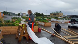 Boat building championship photo