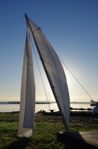 Boat building championship photo